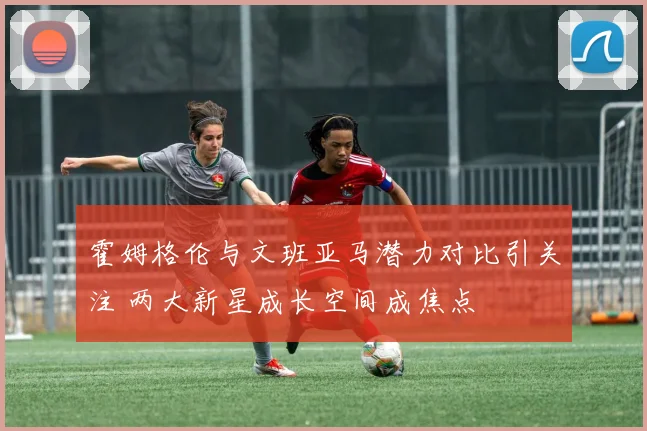 霍姆格伦与文班亚马潜力对比引关注 两大新星成长空间成焦点
