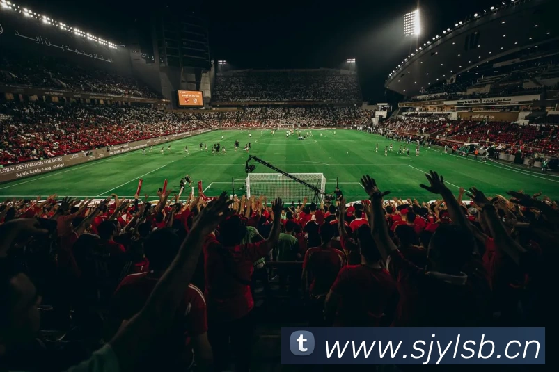 九游官方网页版 - 九游(中国)APP 封面图